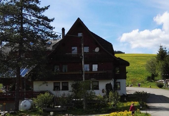 Bild 12