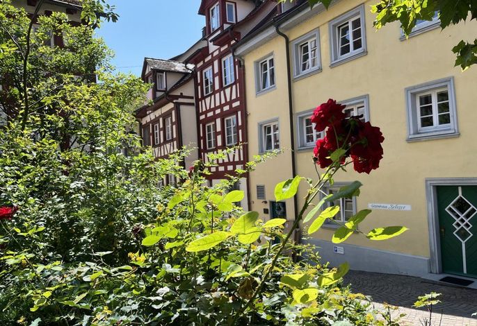 Mainaublick-TraumSeesicht mit Terrasse