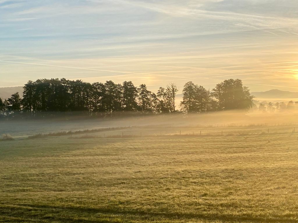 Sommermorgen