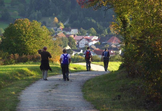 Bild 13
