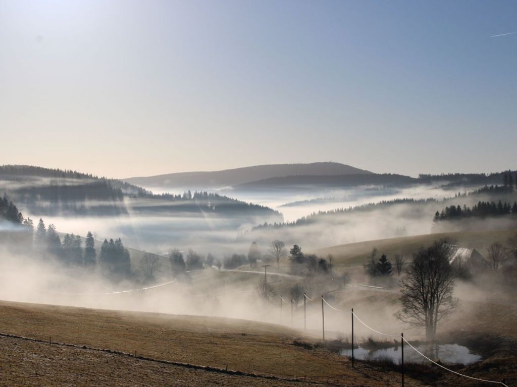 Blick ins schöne Jostal
