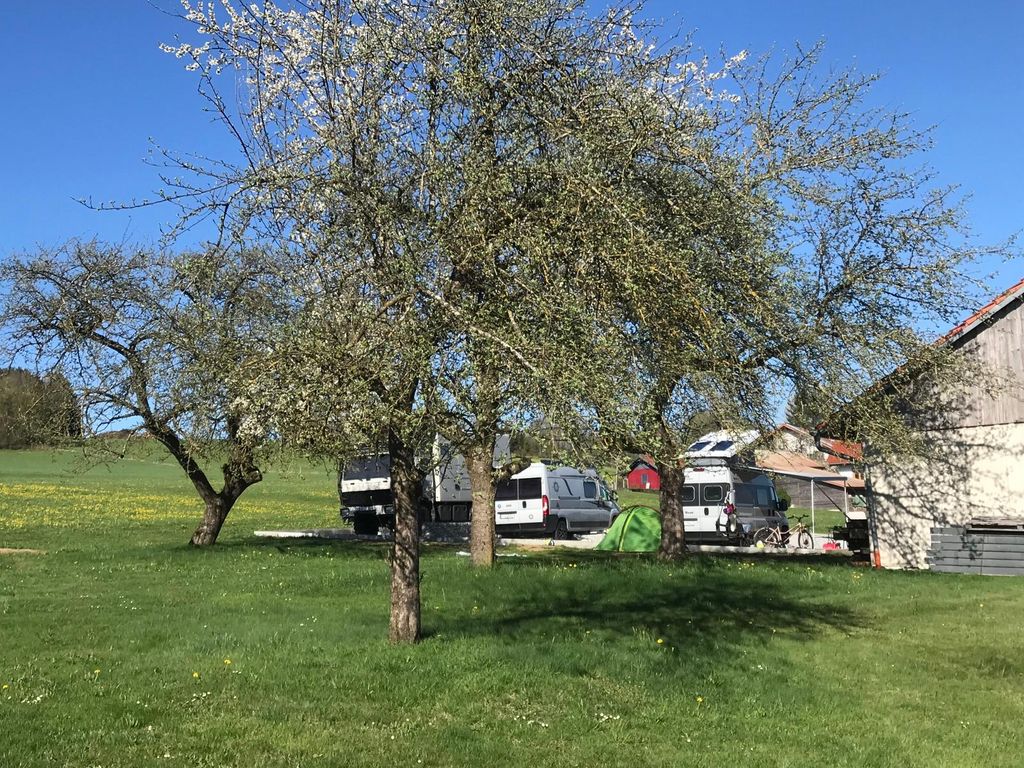 Camper im Obstgarten