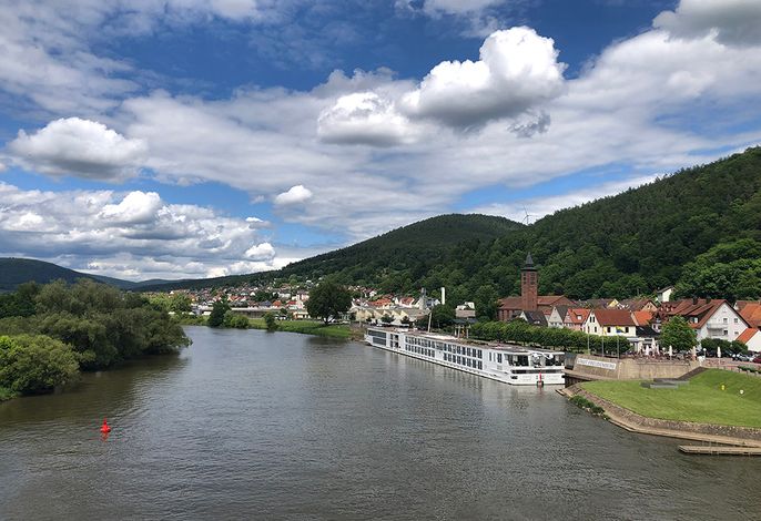 Bild 11