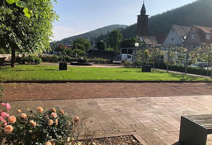 Bild 8