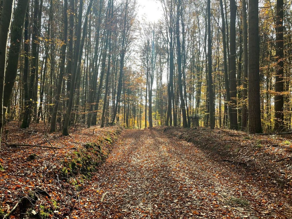 fewo Hoellbach