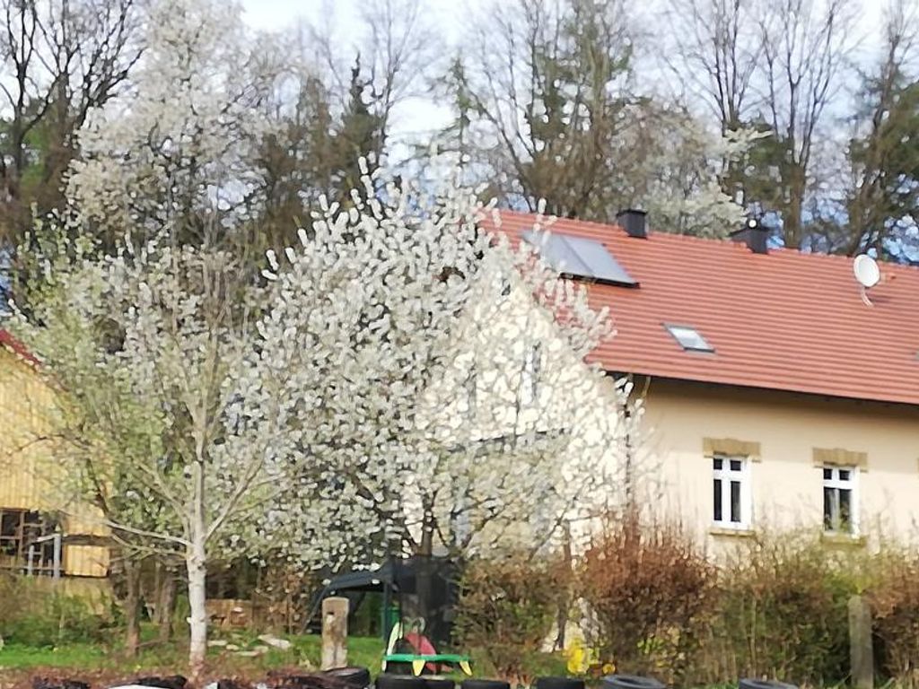 Forsthausschmankerl