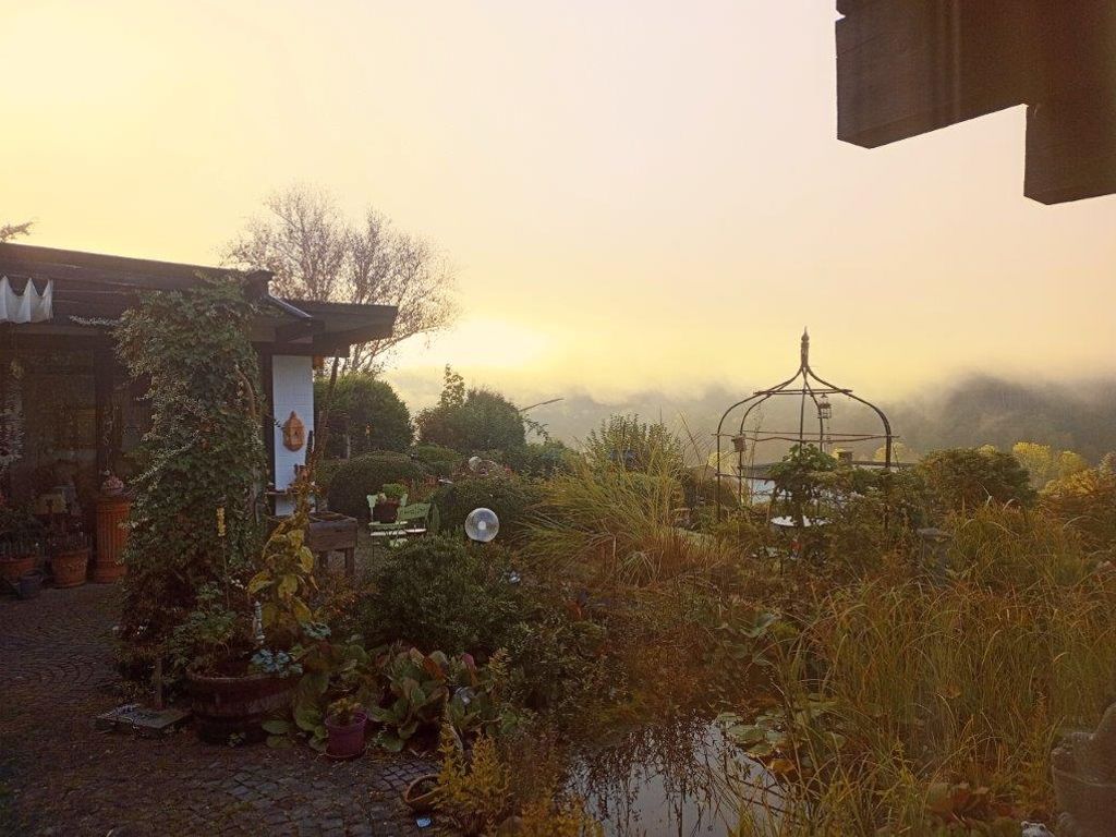 Garten mit Teich