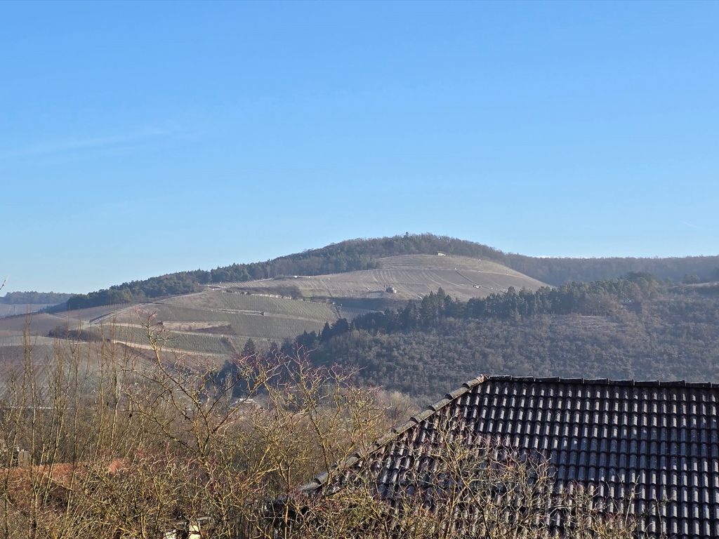 Thüngersheimer Weinberge