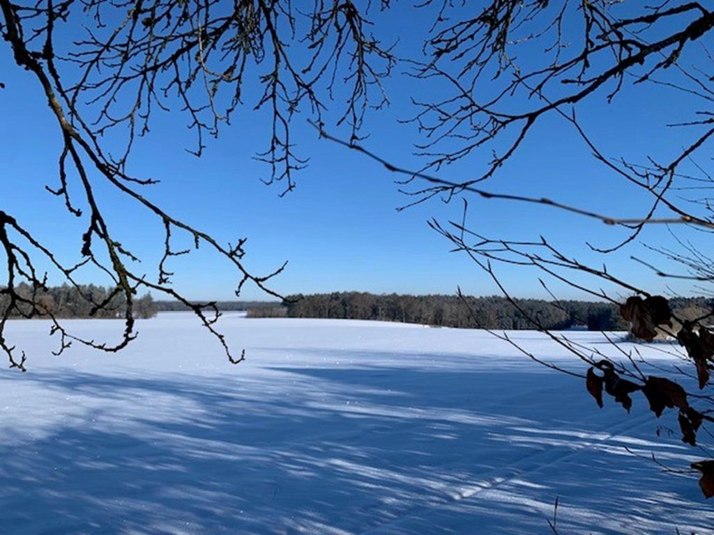 Landblick