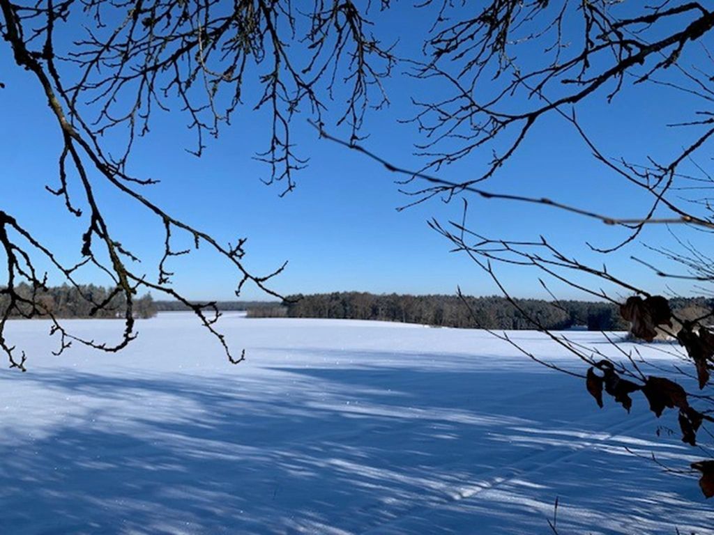 Landblick