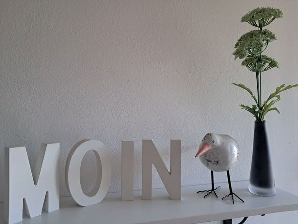 MOIN MOIN