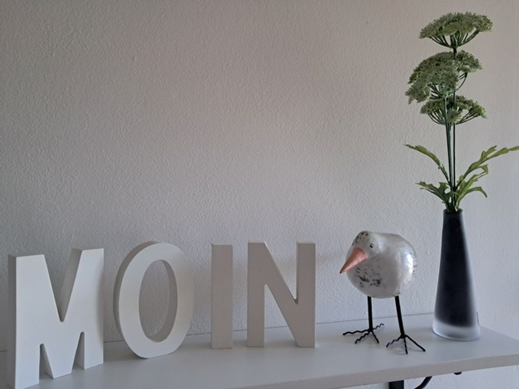 MOIN MOIN