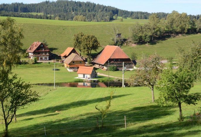 Bild 2