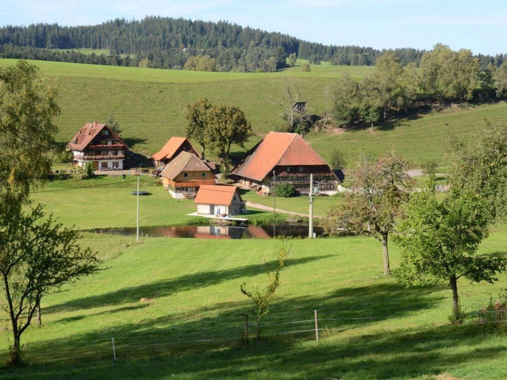 Sägebauernhof inmitten saftiger Wiesen