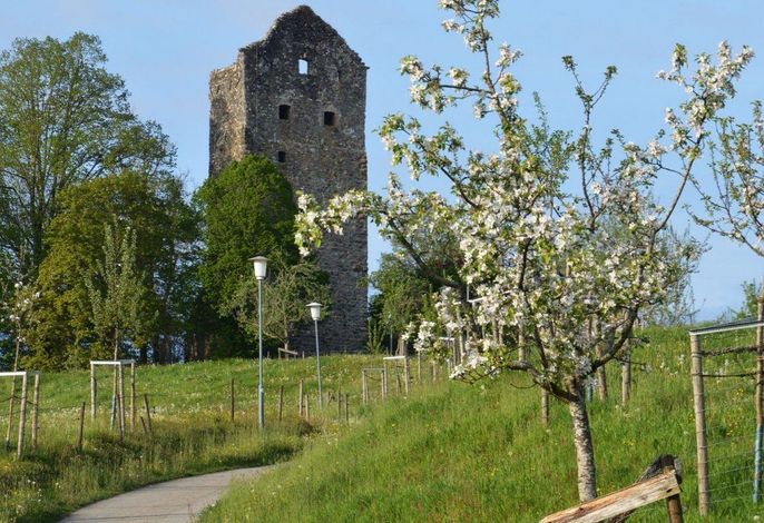 Bild 19