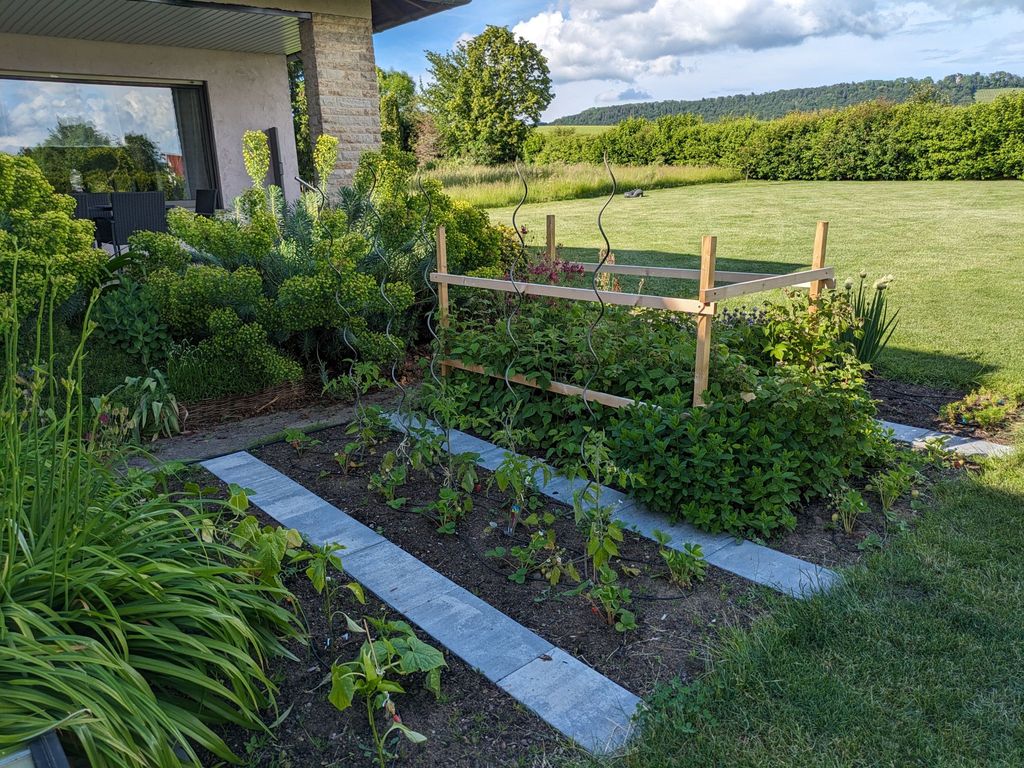 Garten hinter dem Haus mit Liegewiese