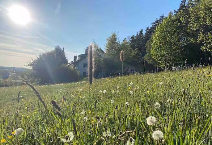 Hauptbild
