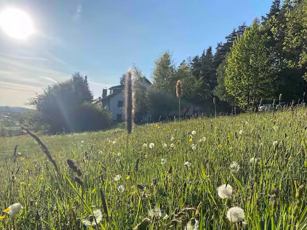 Wiese hinterm Haus