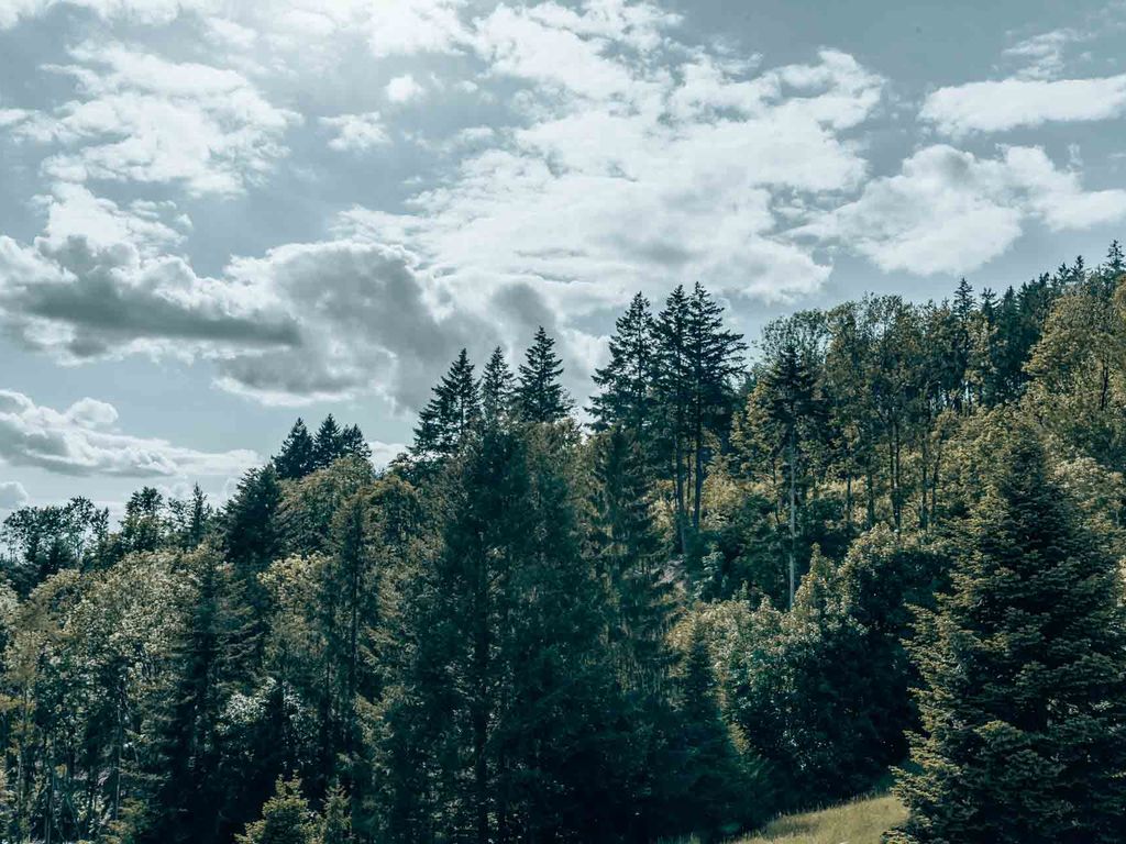 Auszeit3