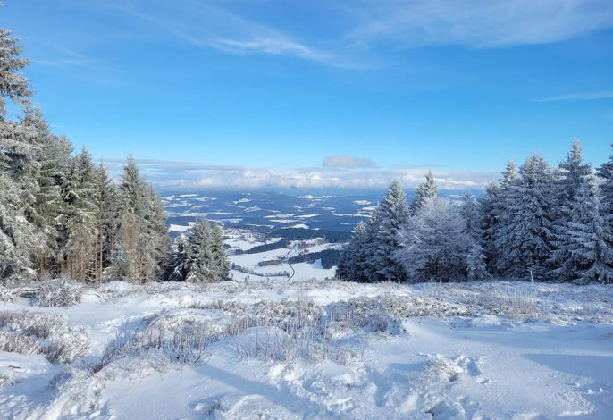 Bild 17
