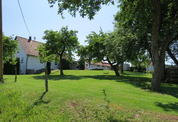 Bild 7
