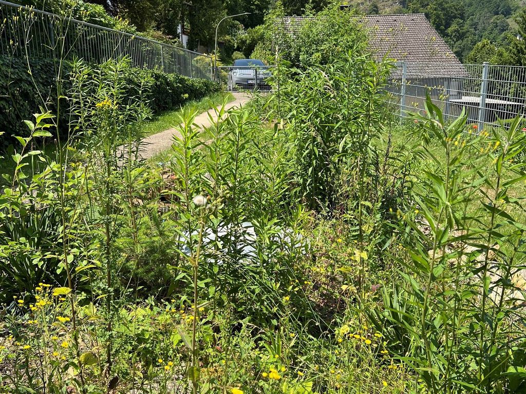 Blick aus der Küche