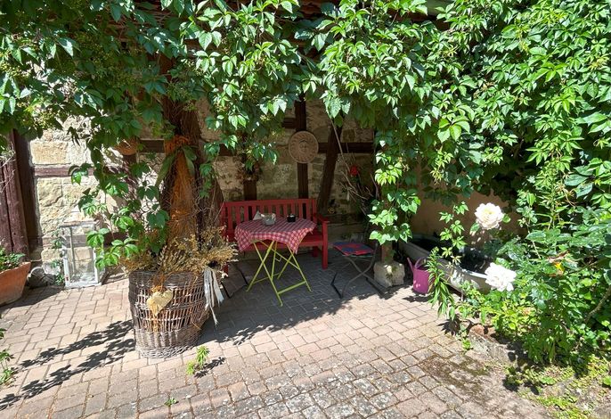 Bild 8