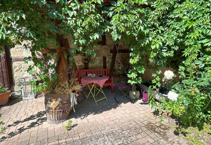 Bild 8