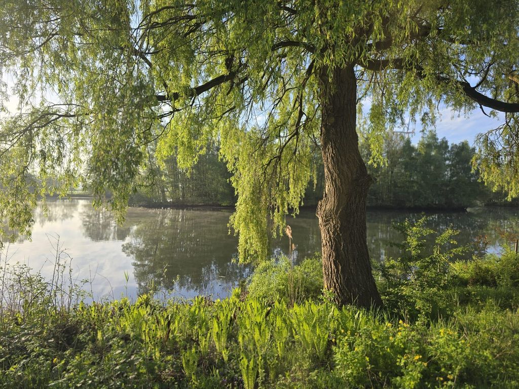 Der See liegt direkt am Hof