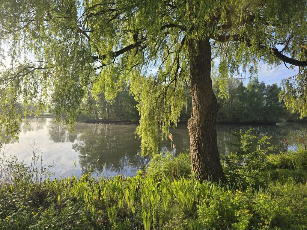 Der See liegt direkt am Hof