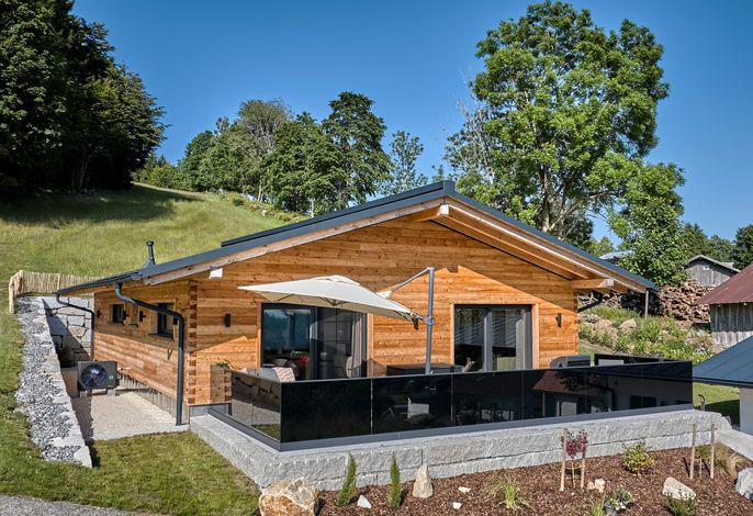 Luxus Chalet Zur Resi