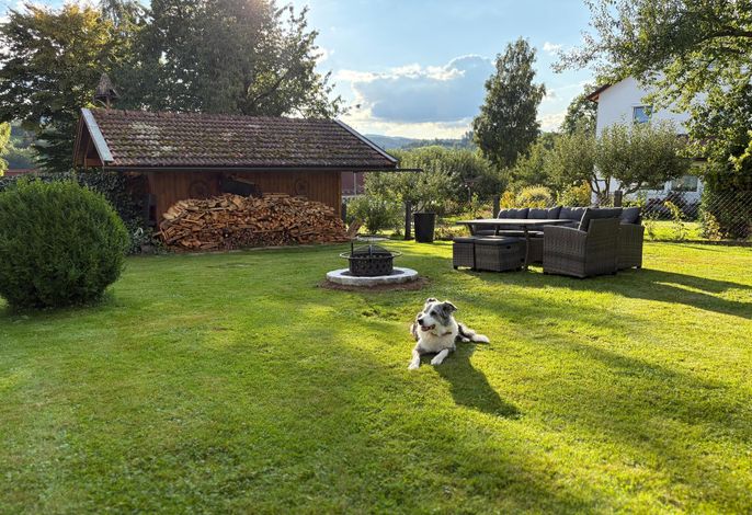 Bild 4