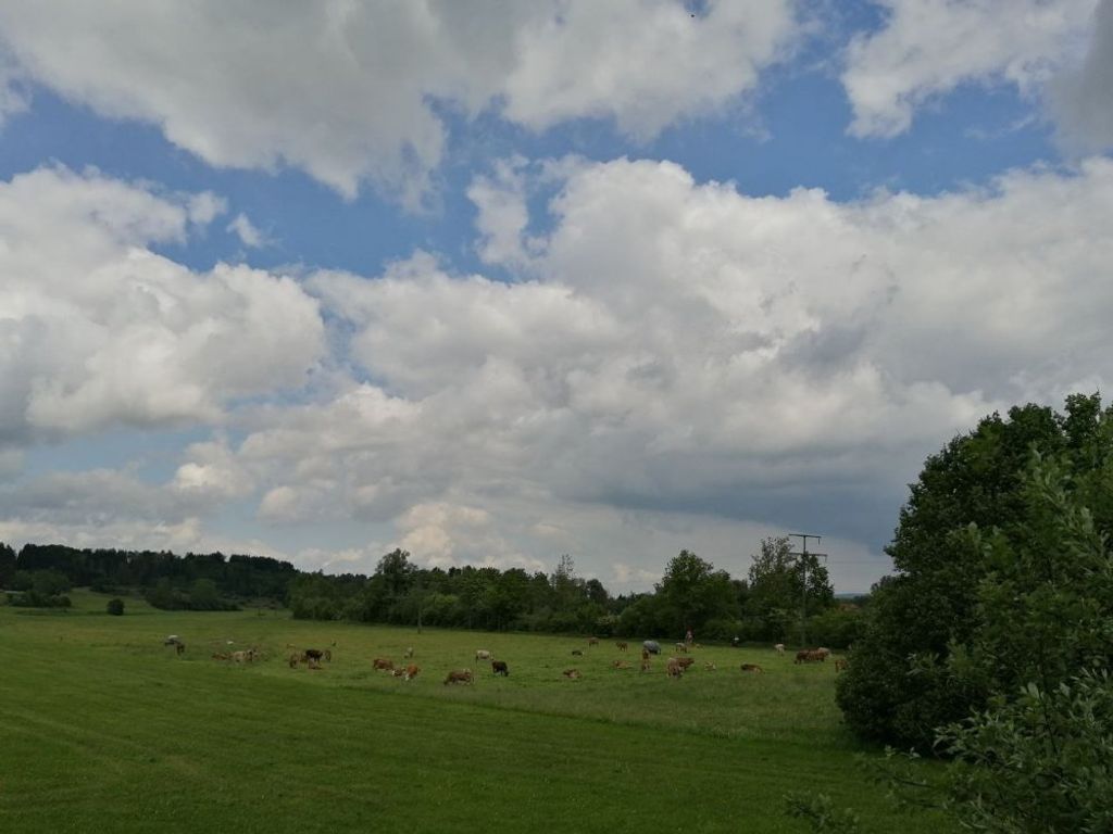 Aussicht zur Nordseite Wiese