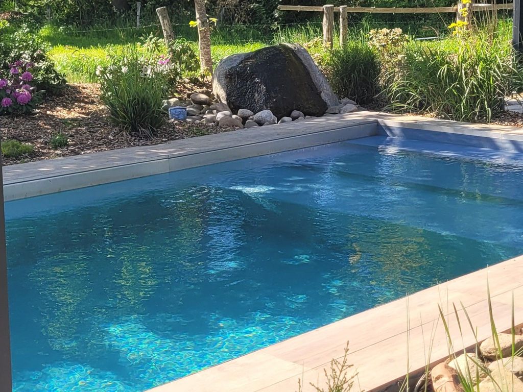 Blick von der überdachten Terrasse auf den Naturpool