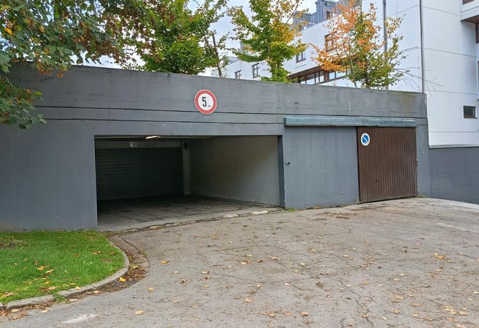 Bild 12