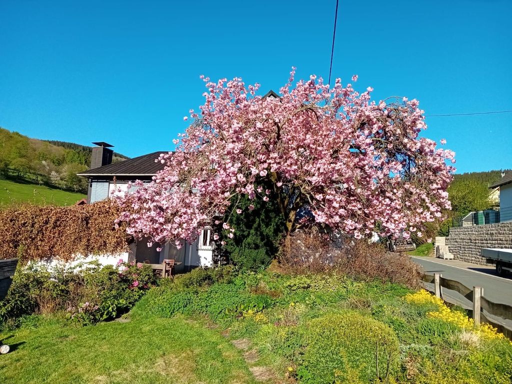 Ferienwohnung Heidfellersch