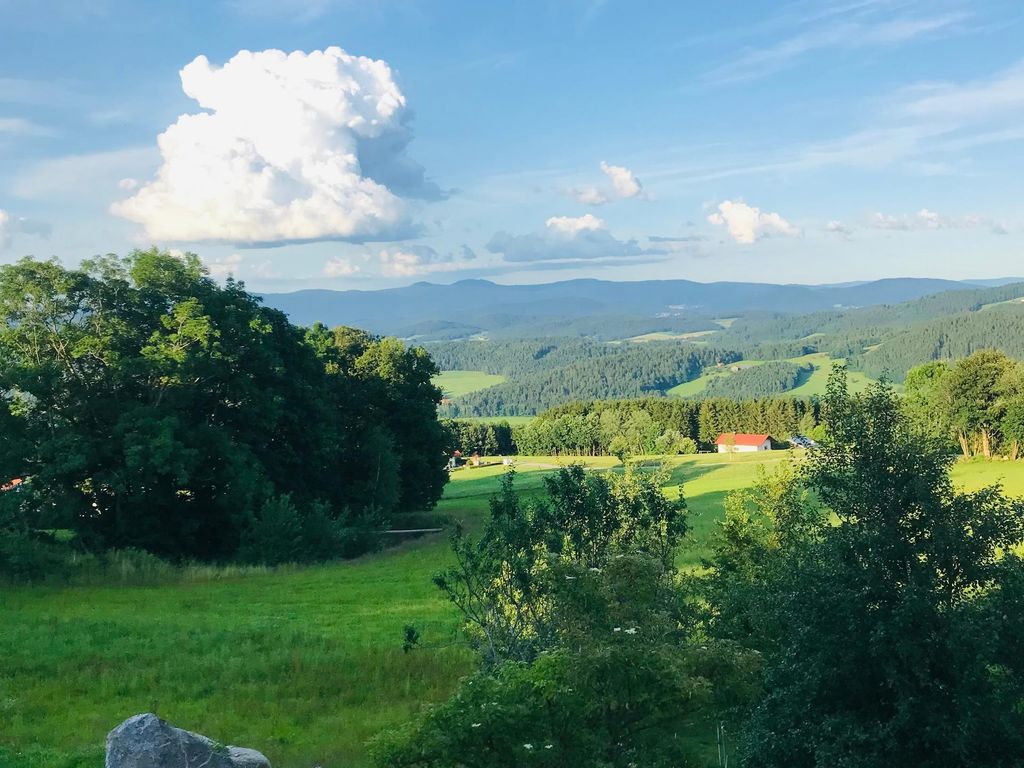 Ausblick