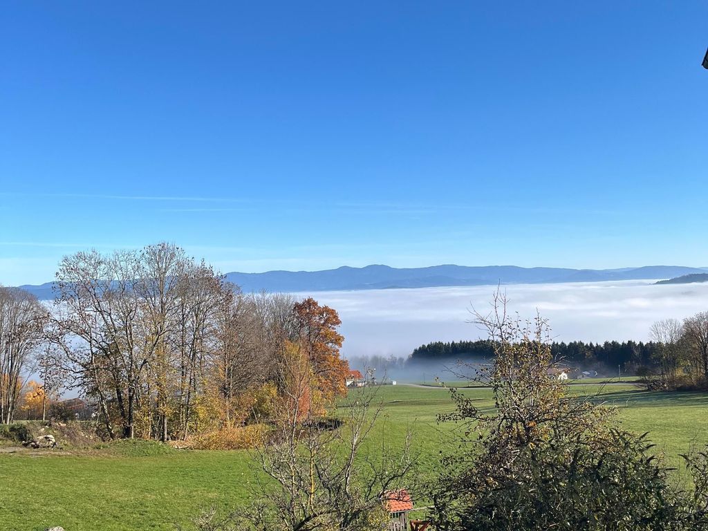 Ausblick