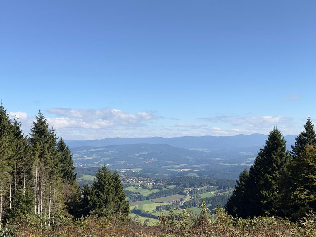 Ferienwohnung WaldGLÜCK