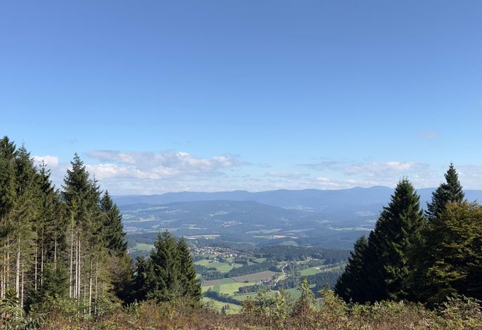 Ferienwohnung WaldGLÜCK