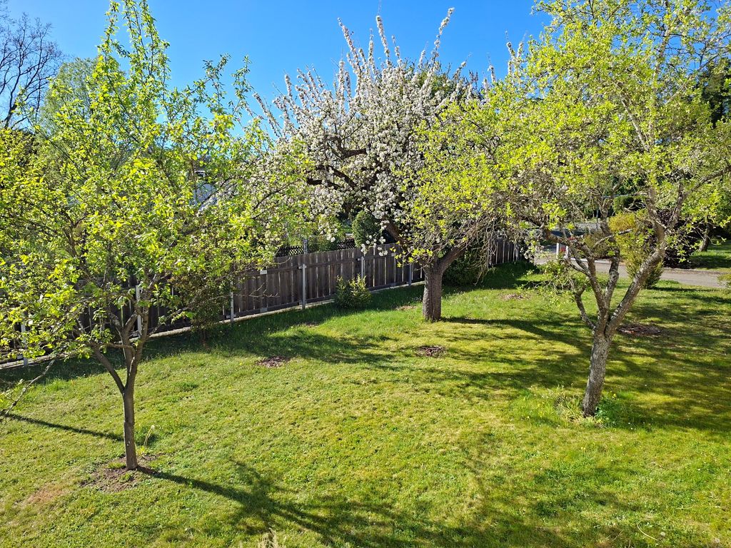 der Garten