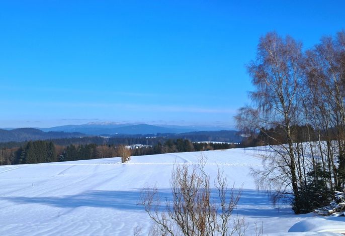 Bild 13