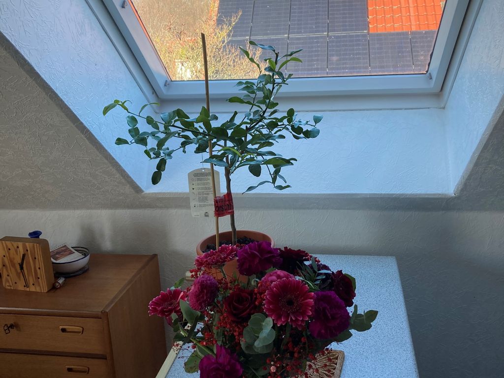 Mit liebe zum Detail Ferienwohnung Winkels in Borken