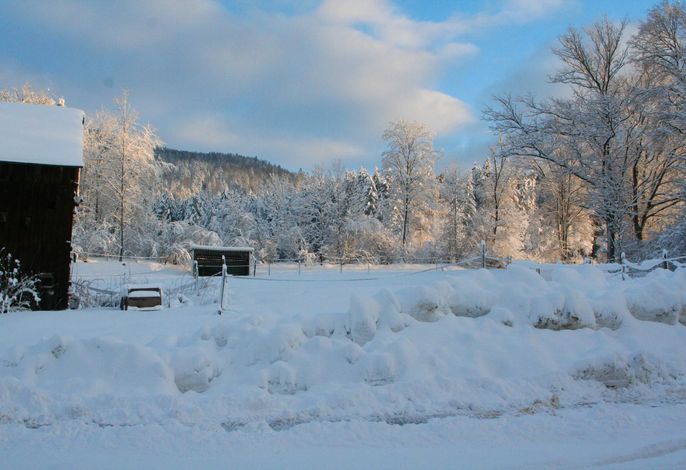 Bild 13