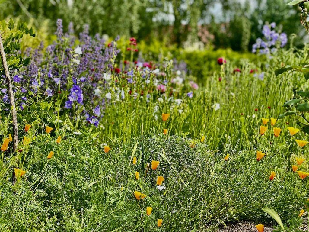 Garten im KulturGut Ulrichshalben