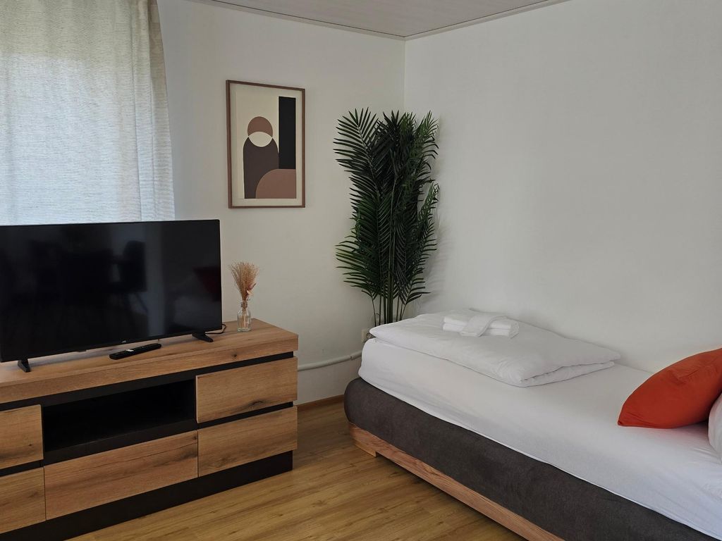 Fernsehen