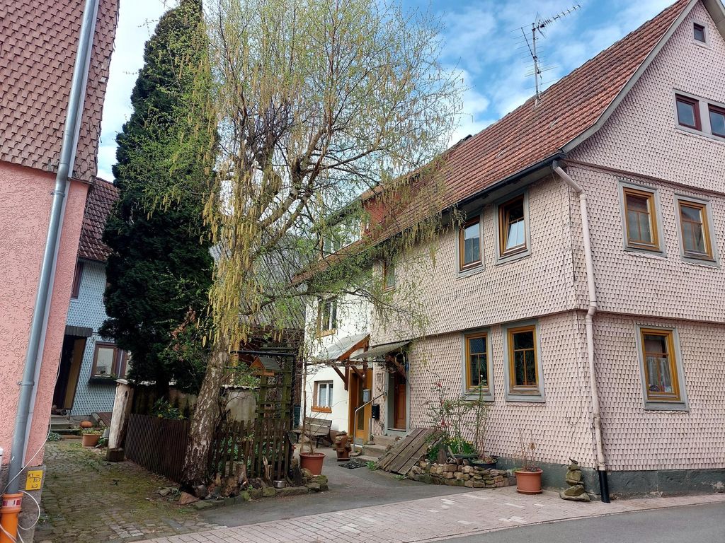 Birke und Haus im Hi