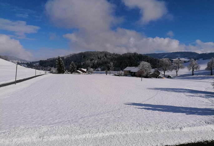 Bild 14