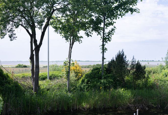Bild 19