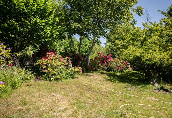 Bild 18